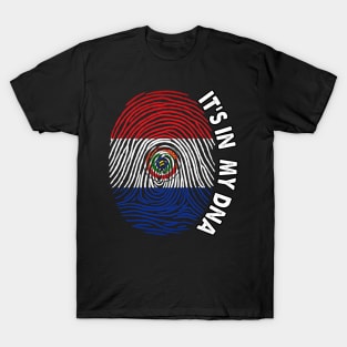 Paraguay T-Shirt